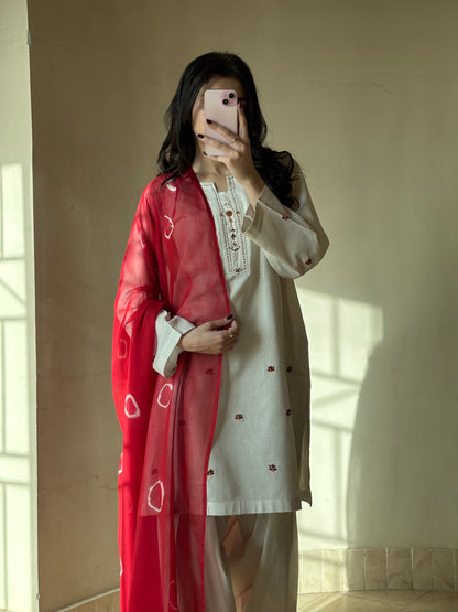 Lawn stitched 3 pc  Hand Embroidered suit- Phulkari
